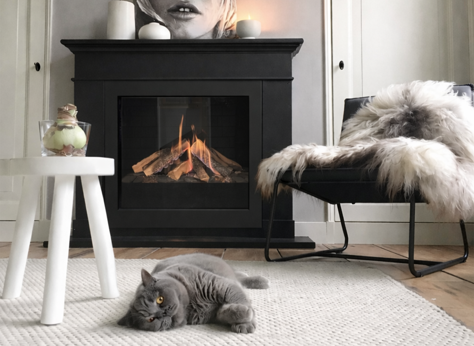 element4-dse-70-image